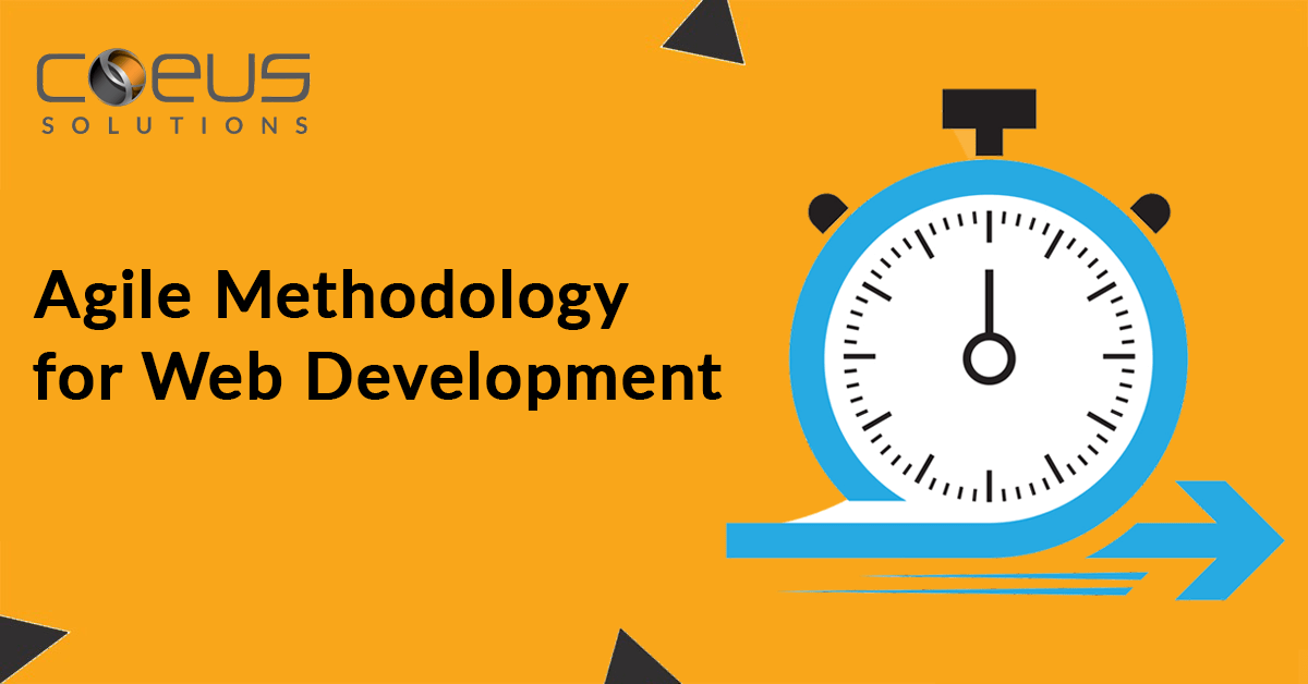 Agile Methodology for Web Development