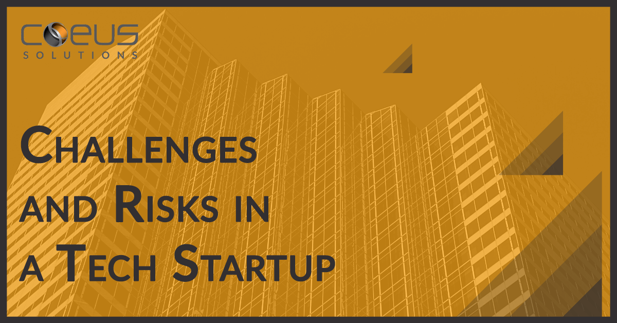 Challenges and Risks in a Tech Startup